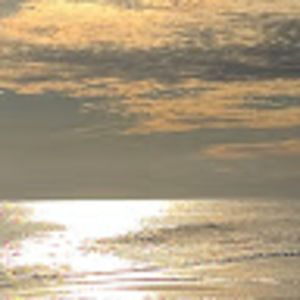 Meet your Posher, Yvette